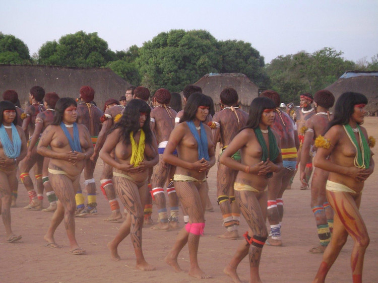 非洲部落选美 - 台湾白酒88坑道 - 论樽酒行--台湾名酒