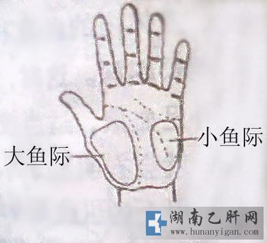 名医忠告：人人都应懂得的救命歌 - 厚德载福 - 厚德载福的博客 
