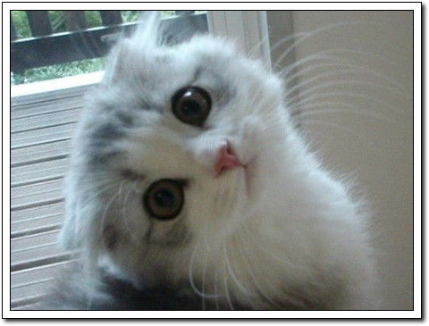 周末要轻松！【幽默图片50P】 - 無為居士 - 聚美齋