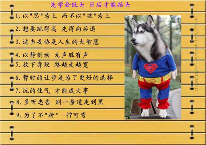看了不要学坏哟 - Good fun - Good fun博客