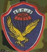 空降兵45师