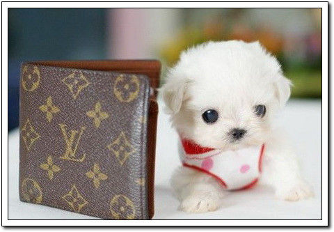 周末要轻松！【幽默图片50P】 - 無為居士 - 聚美齋