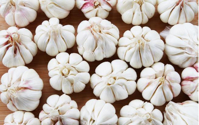 放置一颗洋葱在房间里！ 效果惊人 - 南南 - 阳光南南（看新闻）