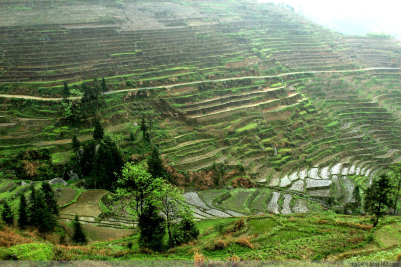 紫鹊界——冷风凄雨中的梯田 - 酉水人 - 酉水人