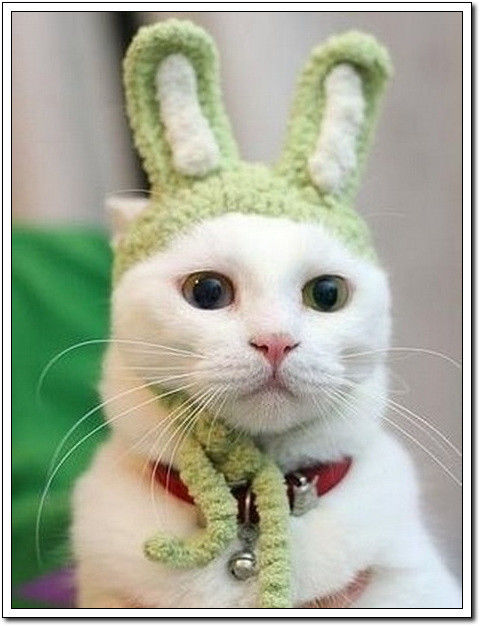 周末要轻松！【幽默图片50P】 - 無為居士 - 聚美齋