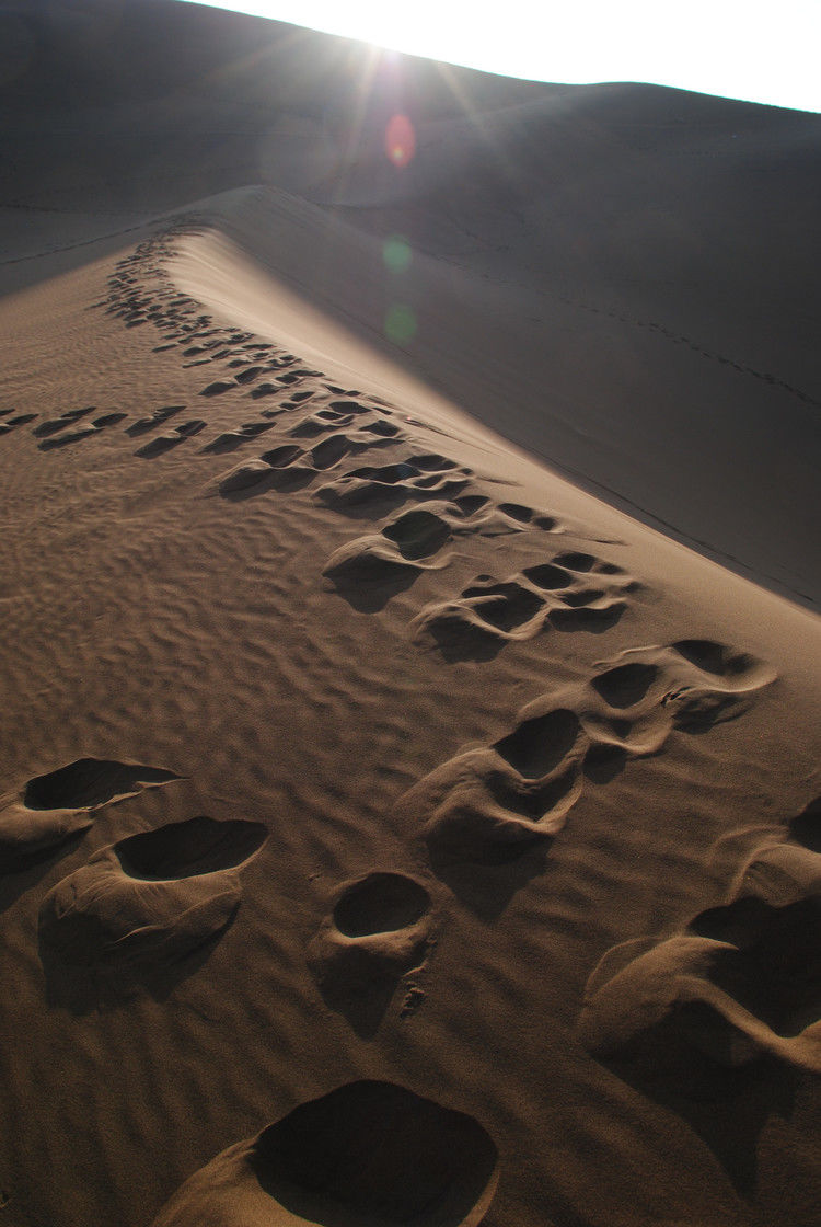 鄯善 - JOJO - JOJO带你游世界