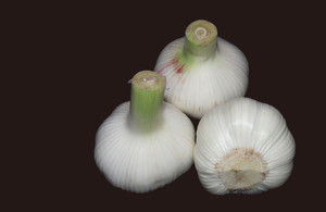 打通血管绝密偏方 - ngycmyc - ngycmyc的博客