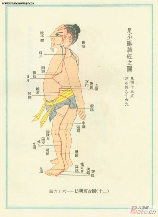 【健康养生】敲胆经 敲掉垃圾 敲除白发 - 缘水禅心 - 