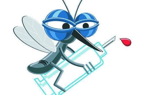 让蚊子不敢进房间 - 夕阳无限美 - 代码应用，动画制作，偏方大全，天下美食