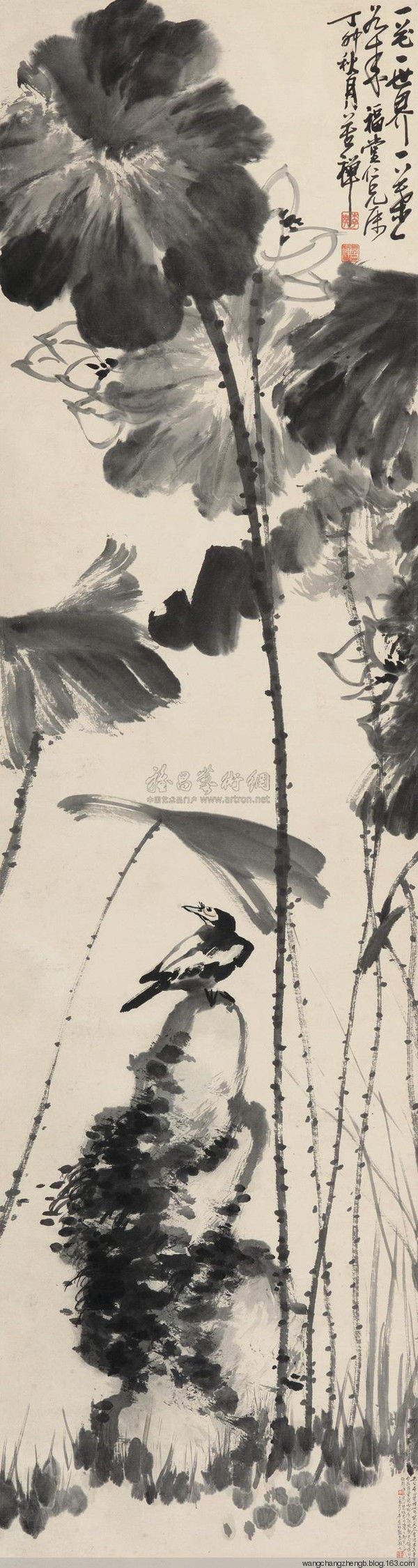 李苦禅 荷花作品欣赏 - wangchangzhengb - wangchangzhengb的博客