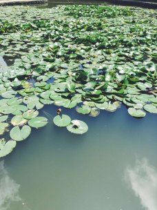 仙人洞-庐山-芳龄几何