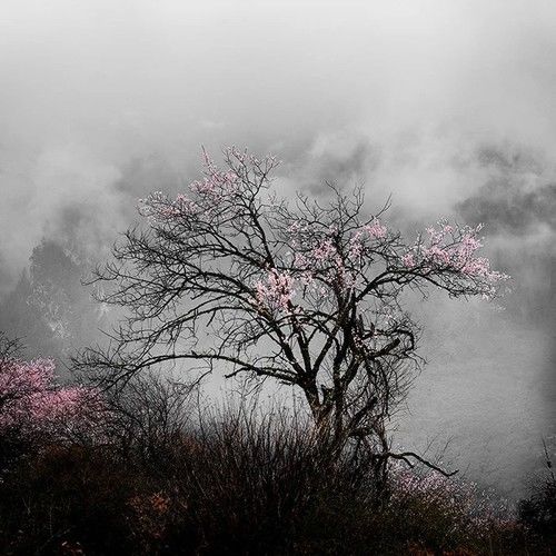 如何表现风光摄影中的意境之美 三联