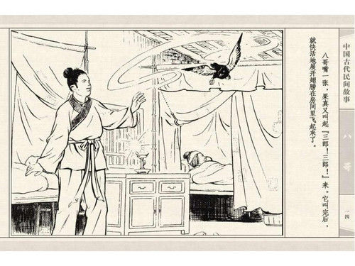 八哥 - shunlin01 - 美术资料与连环画