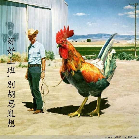 艳遇的最高境界【组图】 - 云鹏润峰 - 云鹏潤峰