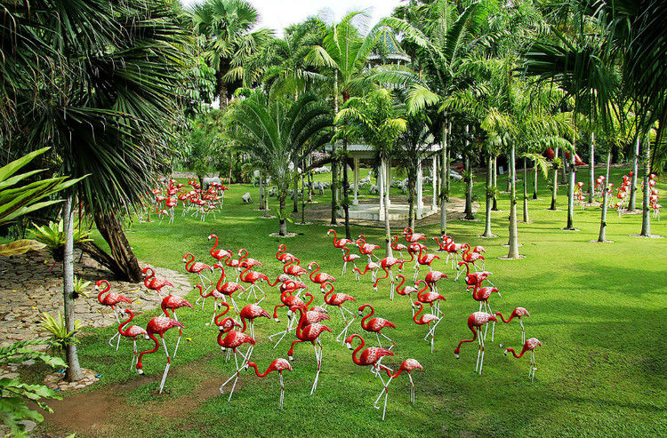 【引用】нуч花园轩弄。泰国 - 枫林傲然 -                  .