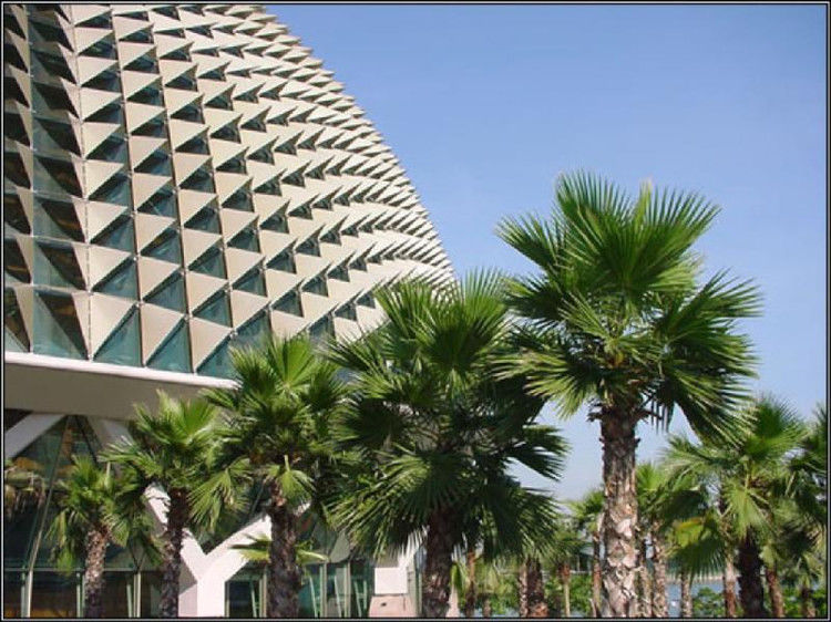 害人俗话 - 红芙蓉 - 红芙蓉的博客