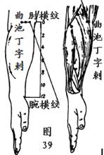 董氏针灸全集验证   5 - 依靠的家 - 依靠的家