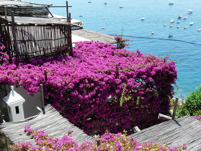 【引用】амальфитанской波西塔诺-度假胜地里维埃拉的风 - 秋林红叶 - 