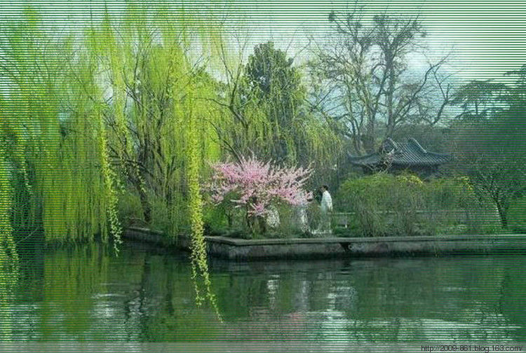 绿油油的～～太美了～～ - 宝贝梦 - 分享美丽·分享快乐·品味人生
