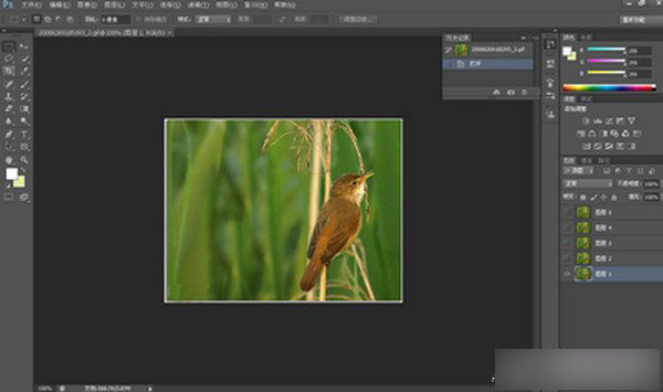 图片像素低怎么办？用PS将低像素调整成高像素教程介绍