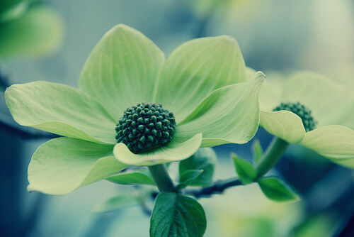 插画心语：遗忘就是我们给彼此最好的纪念| jiaren.org