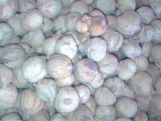 白扣。作用；驱腥增香。