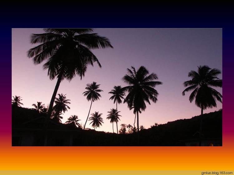 握住长寿的钥匙 - 老教授 - 老教授