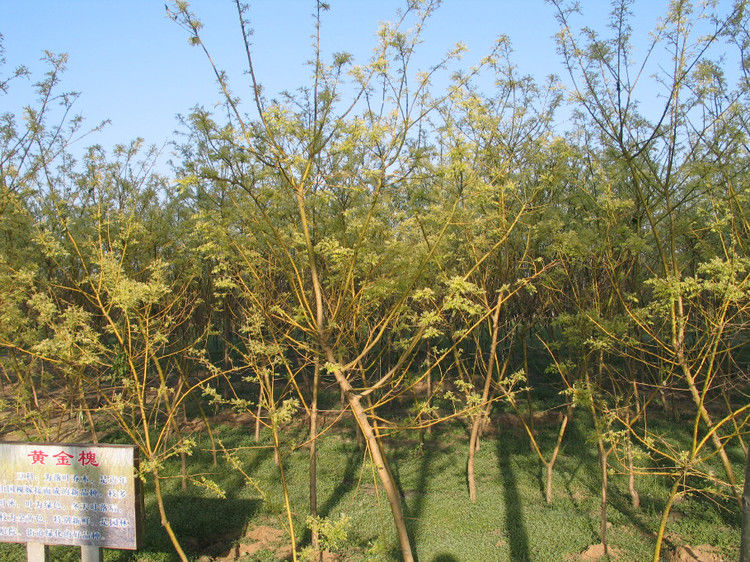 全国仅存的人民公社 无一人外出打工【图】 - 美体、情感、博文精品 - 美体情感、心灵驿站