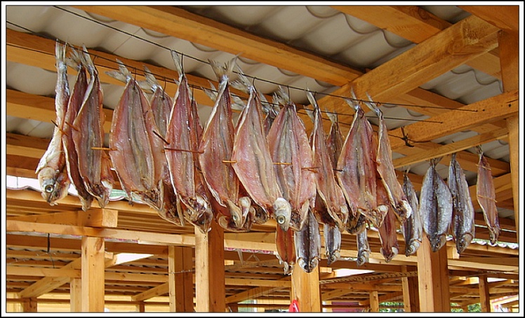 2010年09月28日 - 孤独小猫 - 孤独小猫旅游博客