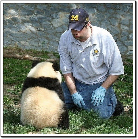 周末要轻松！【幽默图片50P】 - 無為居士 - 聚美齋