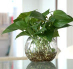 找准你家的财位！金钱来找你，挡也挡不住 - 吝色鬼 - 吝色鬼 的博客