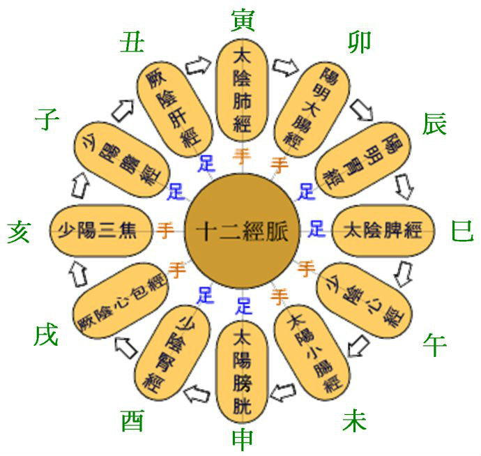 五行经络图加实作，值得收藏！ - 吝色鬼 - 吝色鬼 的博客