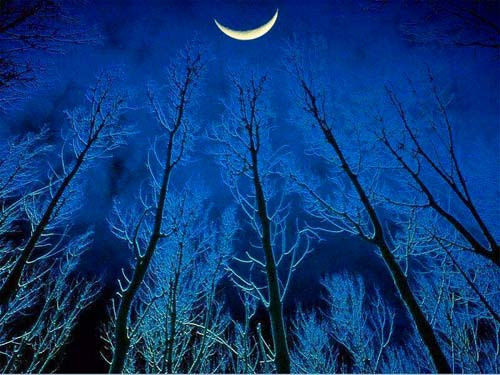 15种最美的月亮！【精美图文】 - 纳兰容若 - 纳兰容若