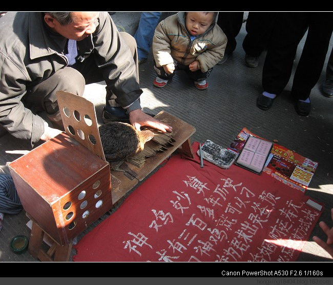 全面分析街头骗术三十七例--看看小心上当 -  红杏 - 红杏