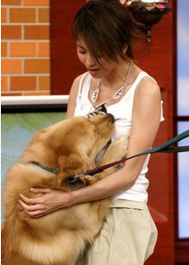 告诉你 “男不养猫、女不养狗” 的秘密  文/阿林 - 阿林 - alin2006721的博客