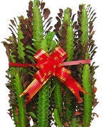 找准你家的财位！金钱来找你，挡也挡不住 - 吝色鬼 - 吝色鬼 的博客