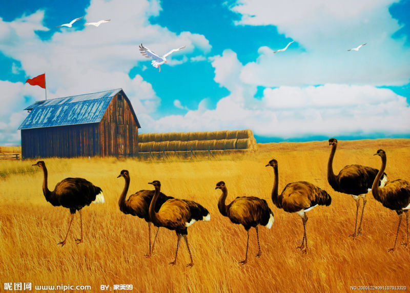 风景画欣赏（05）（21P） - 桃源居士 - 桃源居