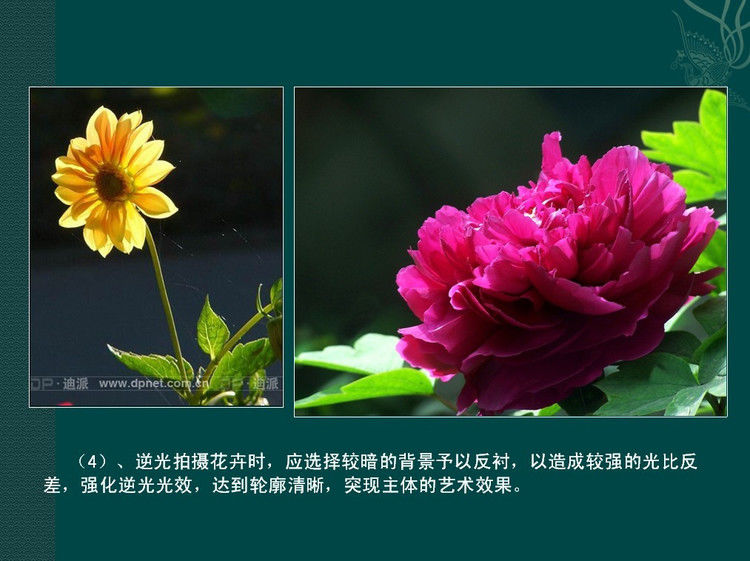 数码摄影入门讲座——摄影用光 - 遨游 - 遨游的博客