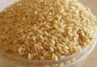 喝糙米茶：三天就能停止癌细胞活动 - 南南 - 阳光南南（看新闻）