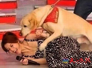 告诉你 “男不养猫、女不养狗” 的秘密  文/阿林 - 阿林 - alin2006721的博客