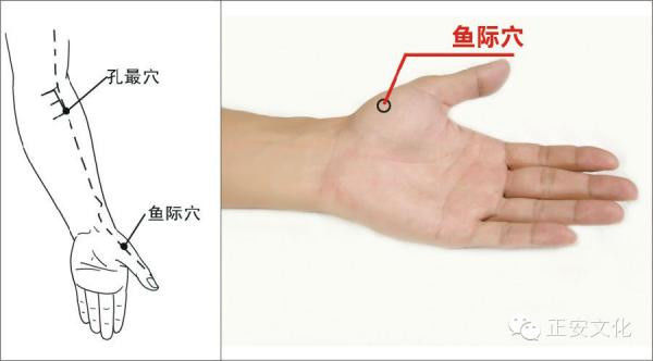 你会在半夜醒来吗？比如一到凌晨1点多钟就醒，或一到凌晨3点多钟就醒。 - 子孙满堂 - zheng101052c子孙满堂的博客