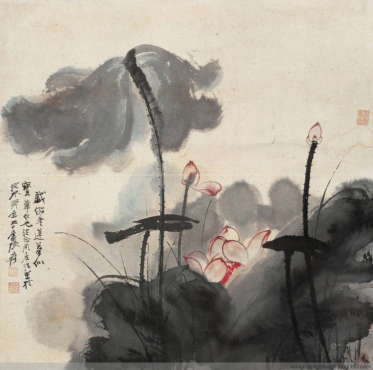 张大千 荷花作品欣赏 - wangchangzhengb - wangchangzhengb的博客