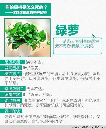 9张图告诉你，为什么你总把花养死【图文】 - 云鹏润峰 - 云鹏潤峰