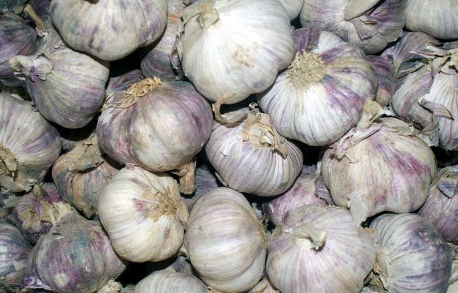 放置一颗洋葱在房间里！ 效果惊人 - 南南 - 阳光南南（看新闻）