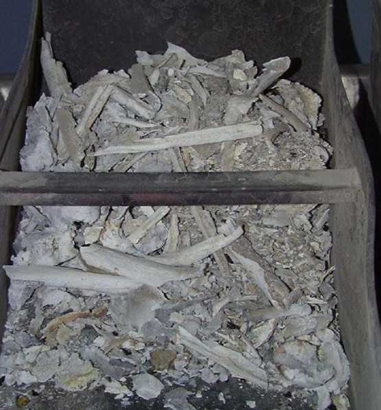 火葬场见闻——啊，人生如梦！活着才是王道啊。。。 - 俊哥儿 - 俊哥儿的博客(热点透视军情解密名人真相）