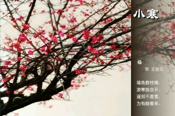 2015年01月23日 - xinlin198 - *平民博客*