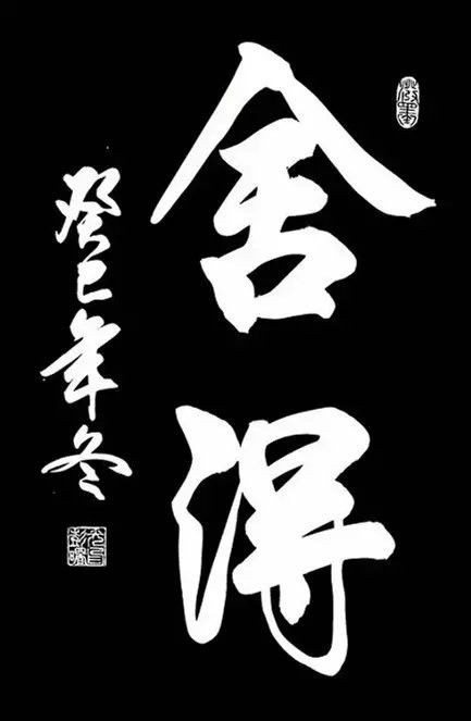 中国书法（一） 