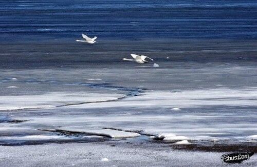 冰雪拍摄实战技法解读