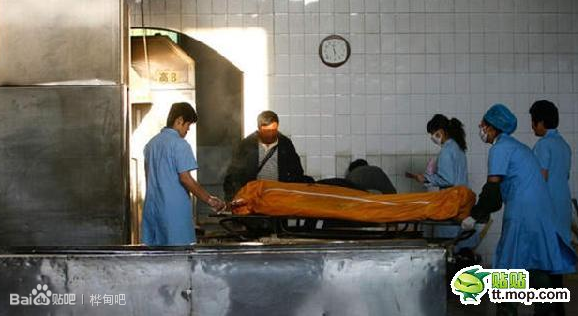 人生如梦：去火葬场看看 - 老马 - 老马的博客