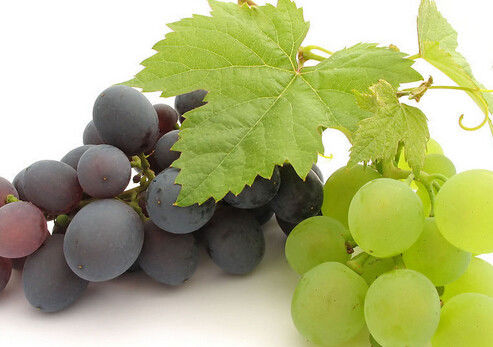 可清除肠道内垃圾的食物 - 鳕鯡鮩鲒 - 鳕鲱鮩鲒的博客